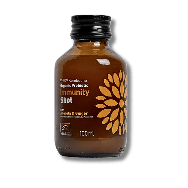 Vigo Vigo Kombucha Organisch Immunität Shot 99ml - Allinone Trade GmbH