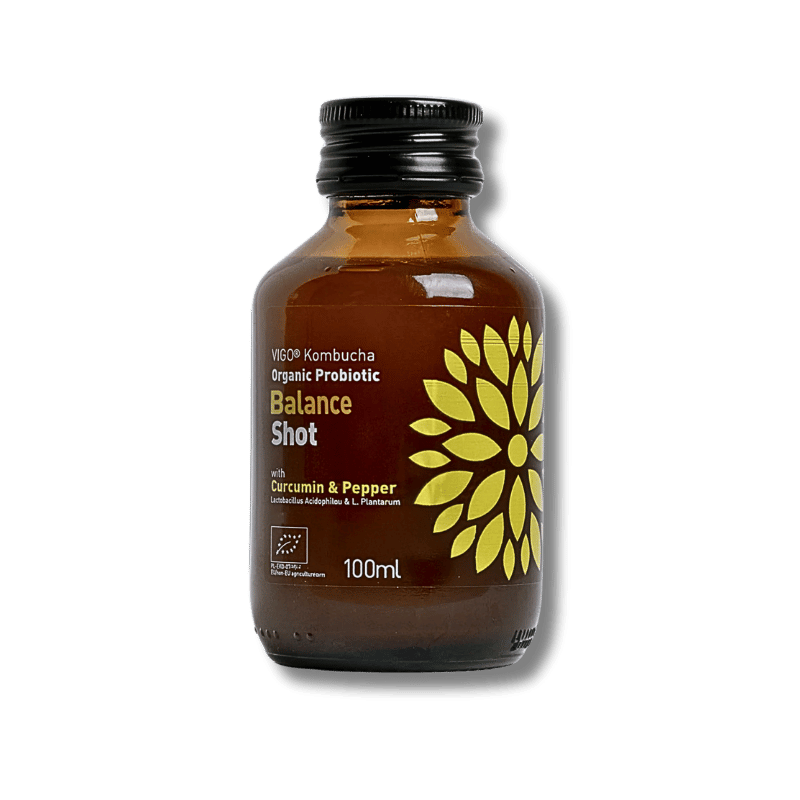 Vigo Kombucha Organisch Balance Shot 99ml